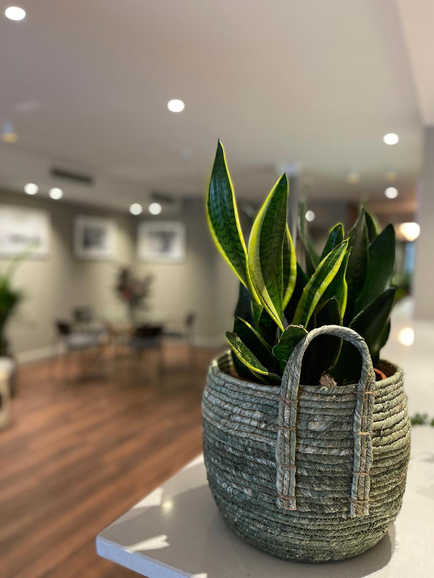Vtz Hotel San Valero 萨拉戈萨 外观 照片